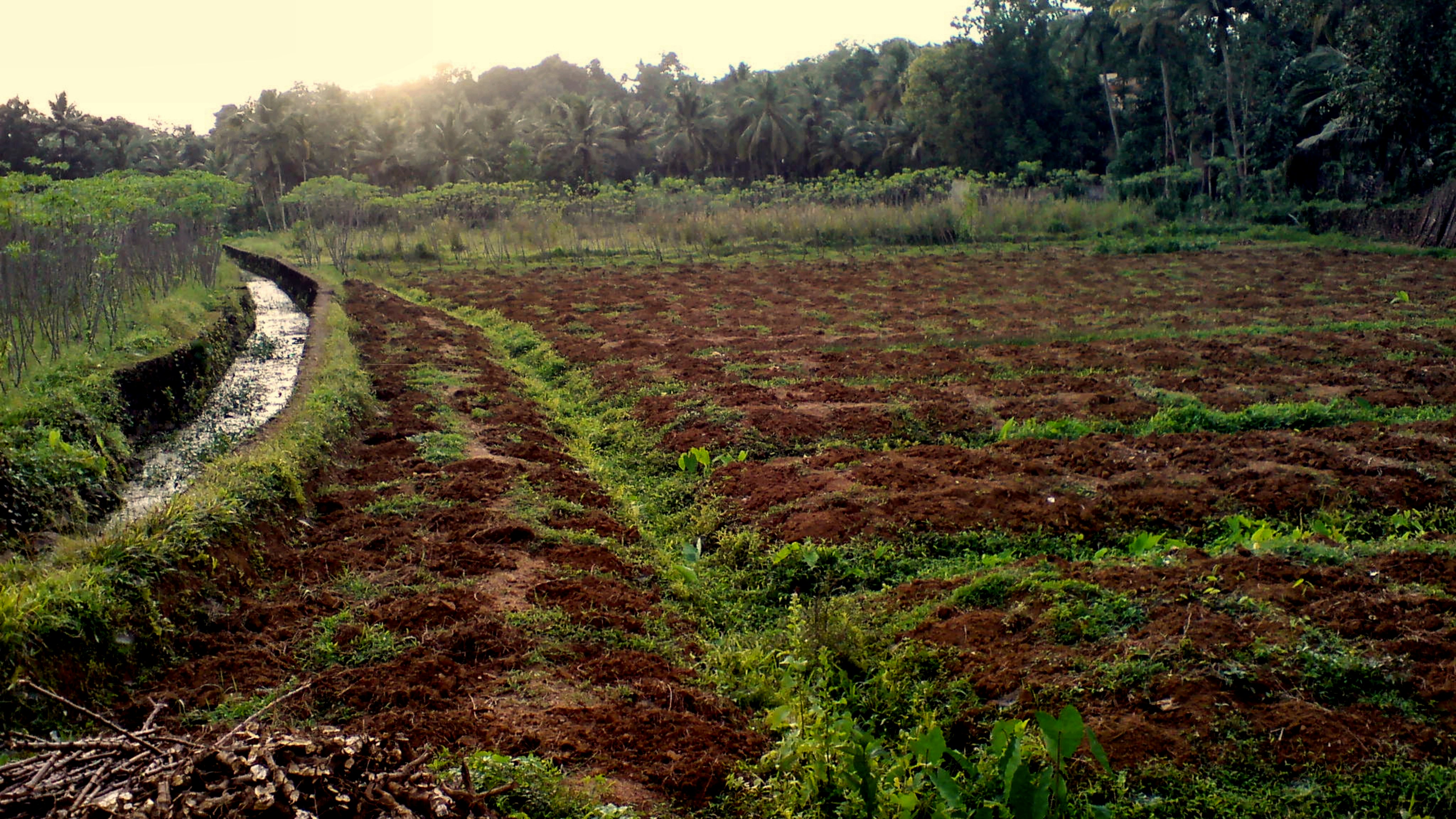 Farm with irrigation