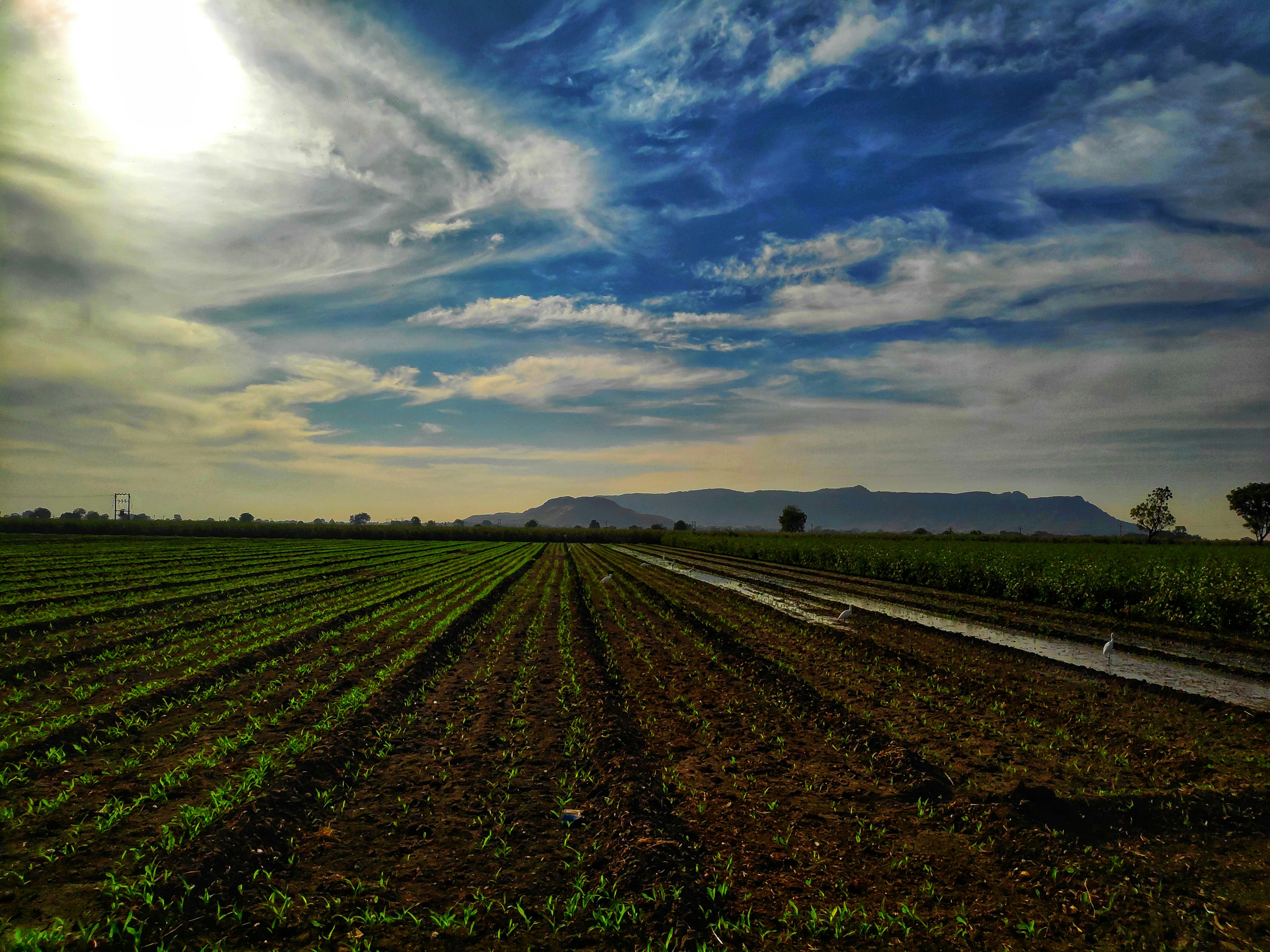 Farm field at sunset with mountains